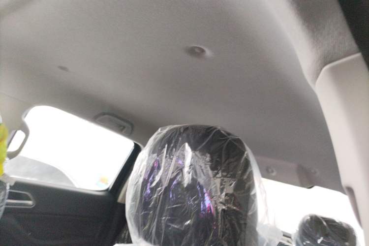 Used Great Wall Poer 2023 2.0T Commercial Version Manual Diesel 4x4 Elite Long-Box GW4D20M
