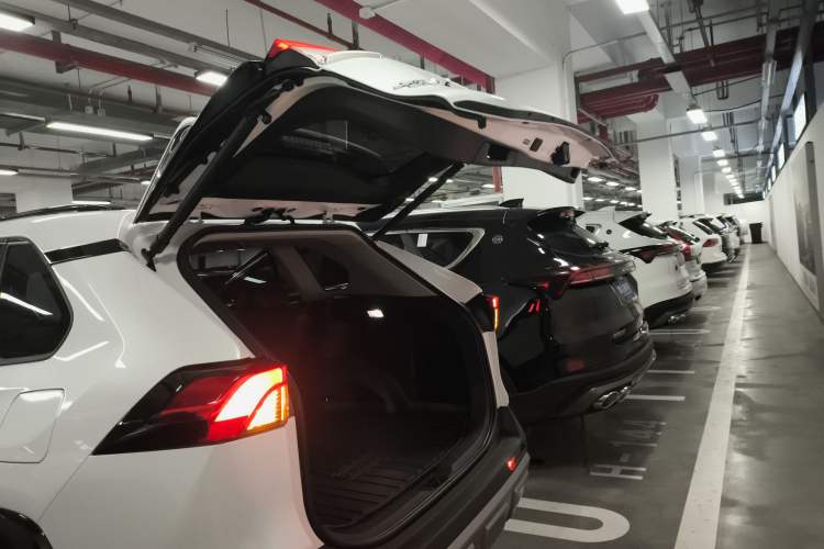 Used Toyota RAV4 2024 2.0L CVT Two-Wheel Drive Fashion Plus Edition
