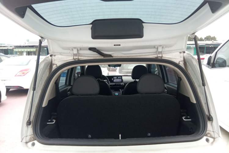 Used ORA White Cat 2020 401 km Flagship Version