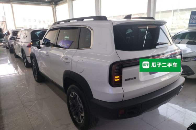 Used Haval DARGO 2024 2.0T DCT Chinese Rural Dog Edition