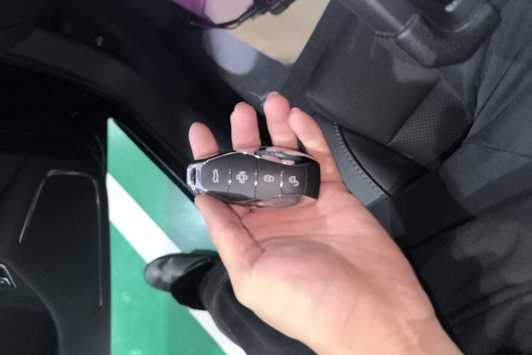 Used Hongqi H6 2024 2.0T ZhiMei Edition
