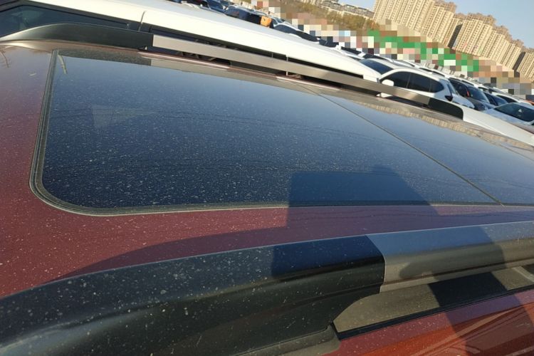 Used Haval DARGO 2021 1.5T DCT Two-Wheel Drive "Mǎquǎn" Edition