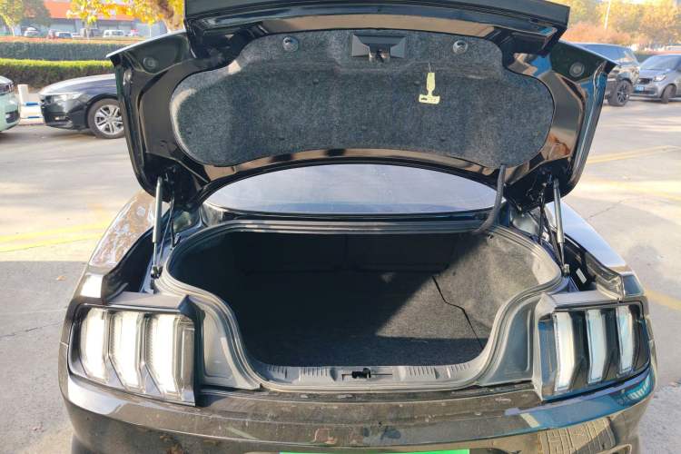 Used Ford Mustang 2019 2.3L EcoBoost
