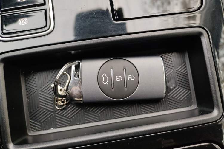 Used  Zhuifeng 2020 Chasing the Waves Edition 1.5T CVT Xingrui Version
