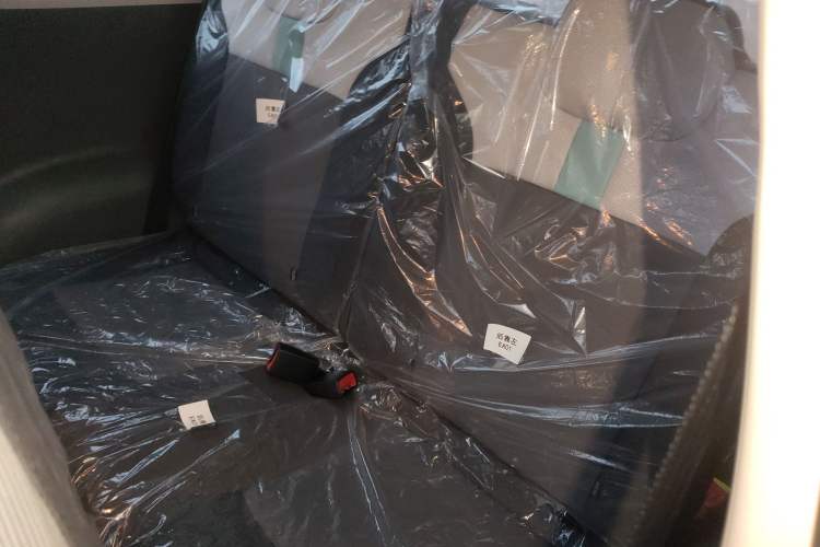 Used  Lumin 2025 205 km Xiangqin Version