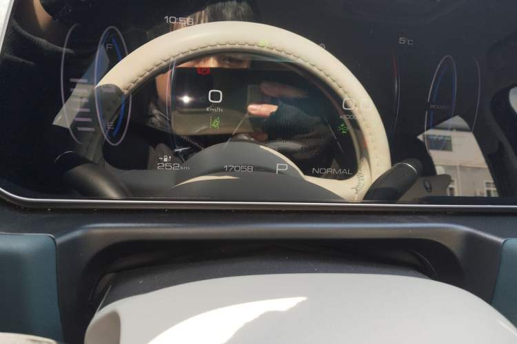 Used ORA Good Cat 2023 401 km Standard Range Luxury Version Lithium Iron Phosphate