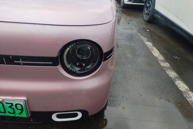 Used  Panda 2025 210 km – Yuanqi Bear
