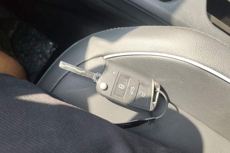 Used Volkswagen Tiguan L 2024 Outstanding Model 330TSI Automatic Two-Wheel Drive R-Line Dragon Glory Edition
