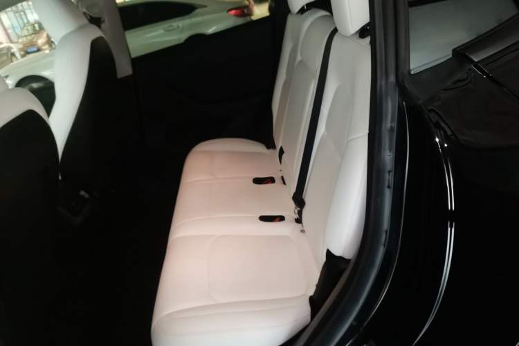 Used Tesla Model Y 2022 Performance High-Performance All-Wheel-Drive Version
