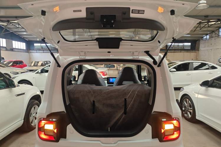 Used  Panda 2024 Panda Mini 200km Endurance Bear
