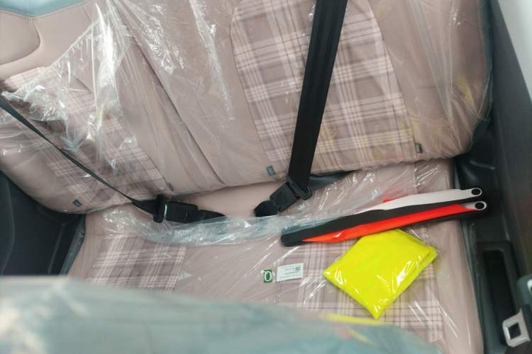 Used Chery QQ Ice Cream 2024 Edition Youth Version 205km Sundae
