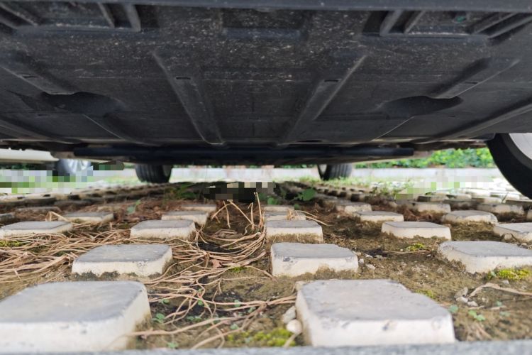 Used ORA Good Cat 2023 401 km Standard Range Luxury Version Lithium Iron Phosphate
