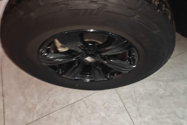 Used Tank 300 2021 City Edition 2.0T My Vision Model