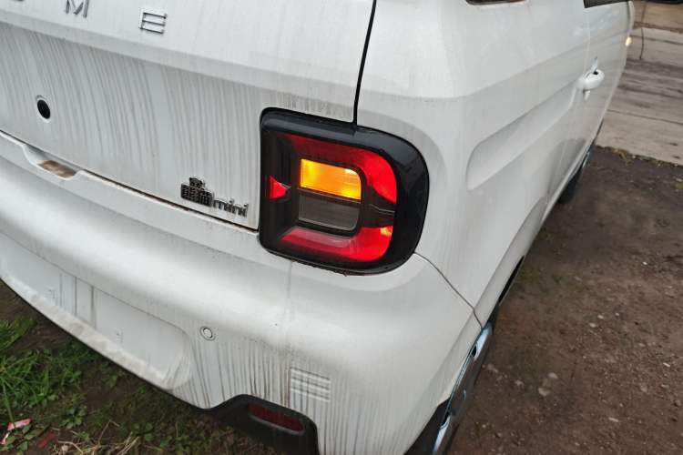 Used  Panda 2024 Panda Mini 200km Endurance Bear