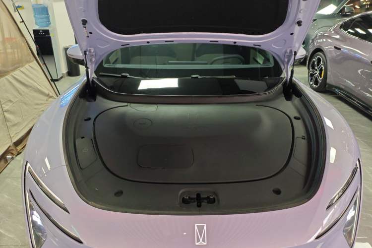 Used  06 2025 Pro Range-Extended Edition
