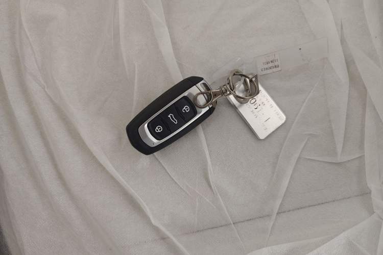 Used  Panda 2025 210 km – Yuanqi Bear