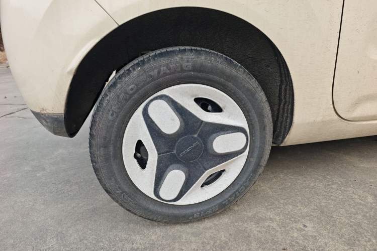 Used  Panda 2025 210 km – Yuanqi Bear