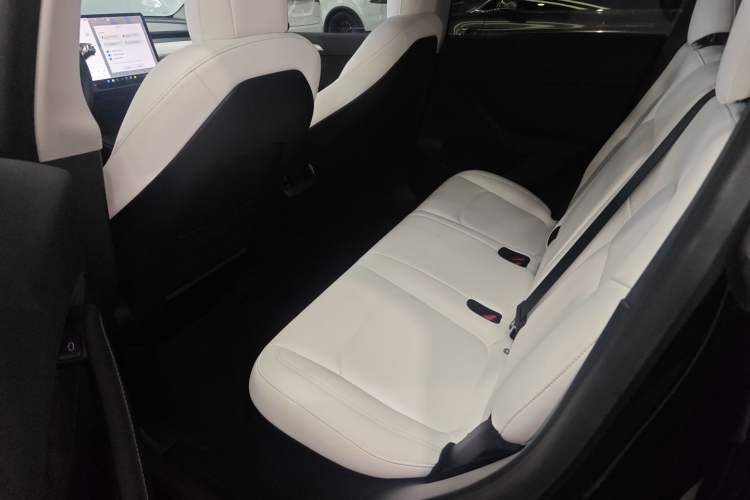 Used Tesla Model Y 2021 Standard Range Rear-Wheel Drive Version