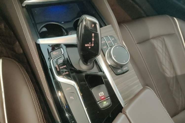 Used BMW 5 Series New Energy 2020 530Le Luxury Package
