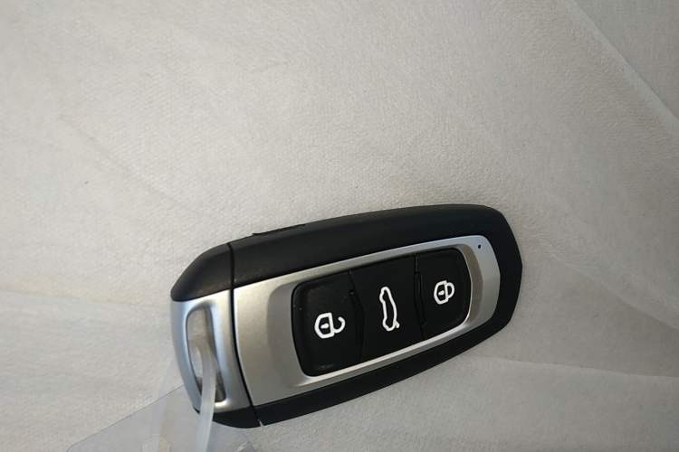 Used  Panda 2025 210 km – Yuanqi Bear