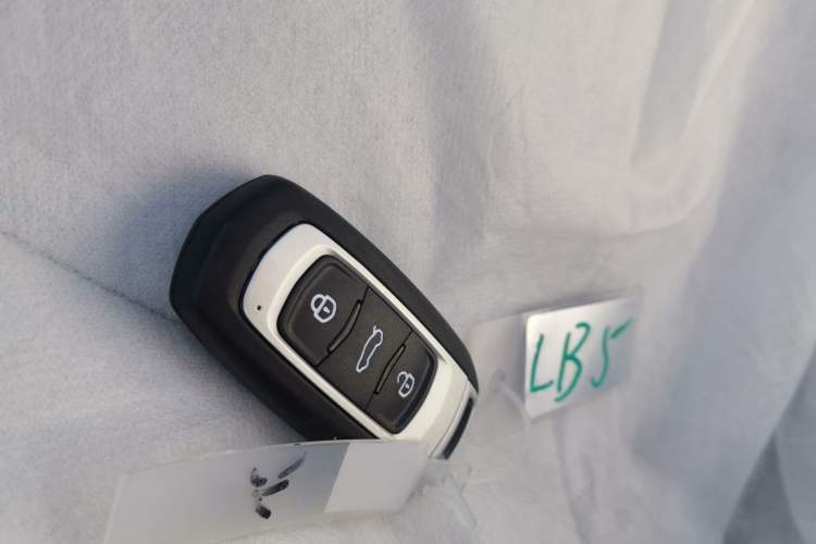 Used  Panda 2025 210 km – Yuanqi Bear
