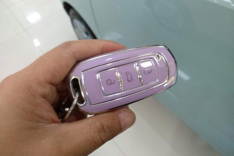 Used  Panda 2024 Panda Mini 200km Longteng PRO Edition
