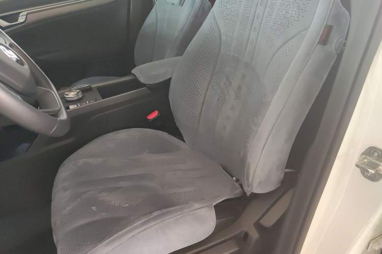 Used Livan Maple 60s 2025 Travel Edition