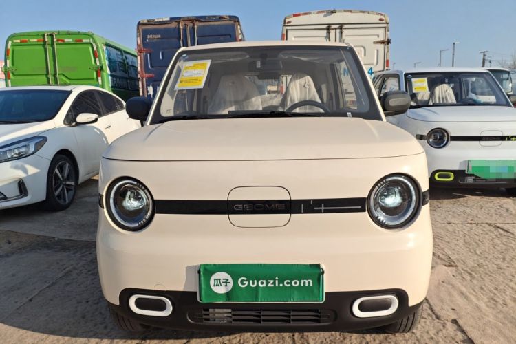 Used  Panda 2025 210 km – Yuanqi Bear
