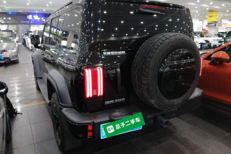 Used Tank 300 2024 2.0T Conqueror