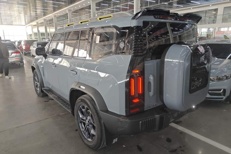 Used  Shanhai T2 2024 C-DM 129KM Linye Edition
