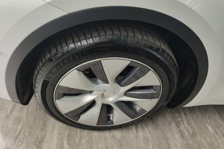 Used Tesla Model Y 2021 Standard Range Rear-Wheel Drive Version
