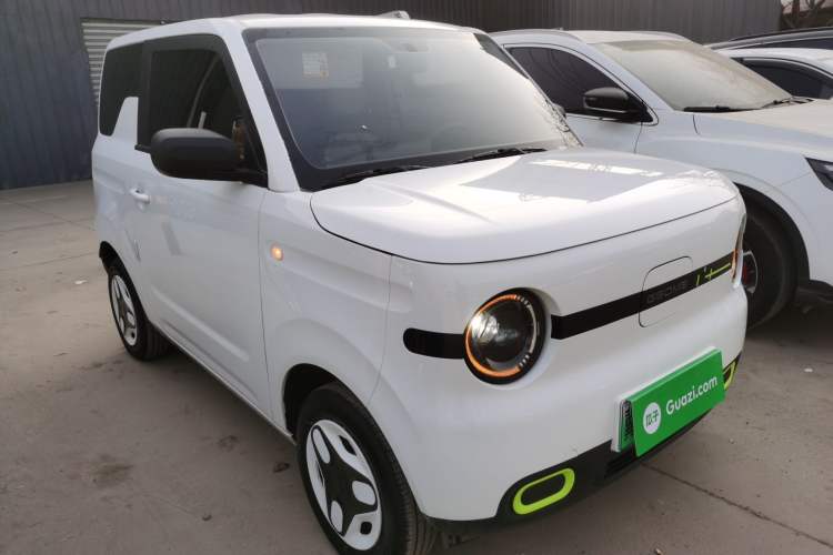 Used  Panda 2025 210 km – Yuanqi Bear
