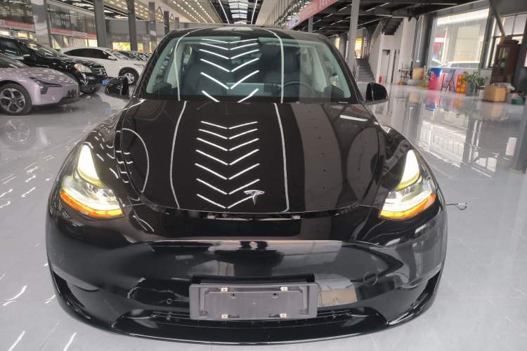 Used Tesla Model Y 2021 Standard Range Rear-Wheel Drive Version
