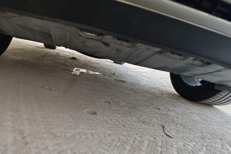 Used GAC Trumpchi GS8 2017 320T Two-Wheel Drive Luxury Smart Connectivity Version (7 Seats)