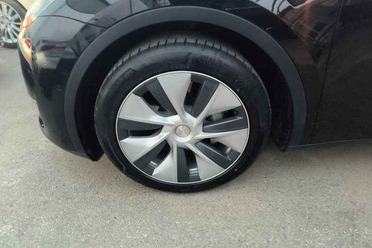 Used Tesla Model Y 2021 Standard Range Rear-Wheel Drive Version
