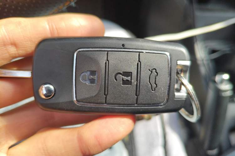 Used FORTHING Lingzhi 
