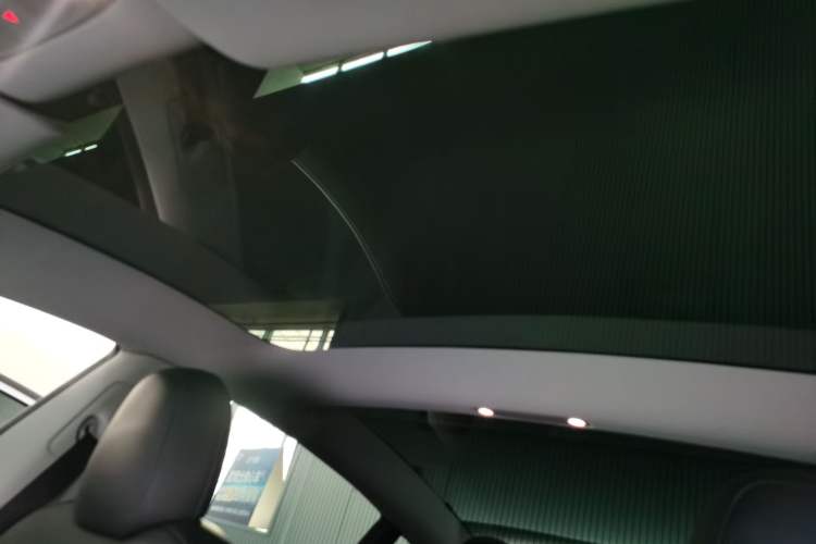 Used Tesla Model 3 2021 Standard Range Rear-Wheel Drive Upgraded Version 3D6
