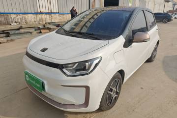 Used SOL E10X 2022 Flower Fairy Design Four-Leaf Clover