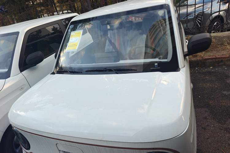 Used  Panda 2024 Panda Mini 200km Endurance Bear
