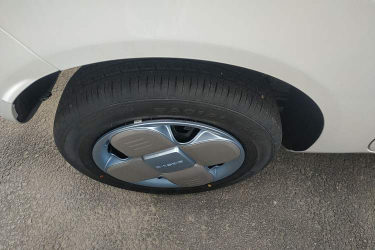 Used  Panda 2024 Panda Mini 200km Endurance Bear
