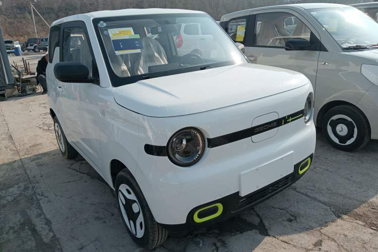 Used  Panda 2025 210 km – Yuanqi Bear
