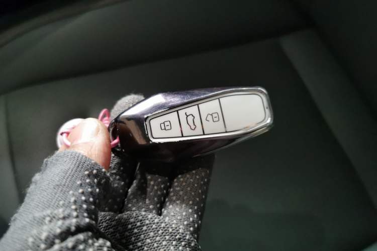 Used  03 2024 501km Four-wheel Drive Long-Range Advanced Version
