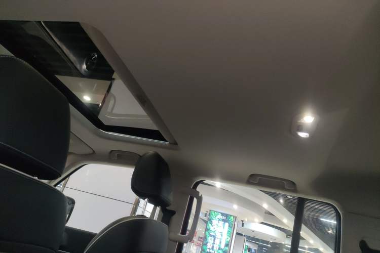 Used Tank 300 2024 2.0T Conqueror