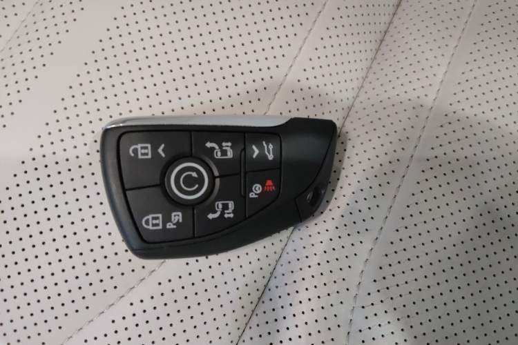 Used Buick GL8 New Energy 2024 Lu Zun Luxury Edition 6-Seater
