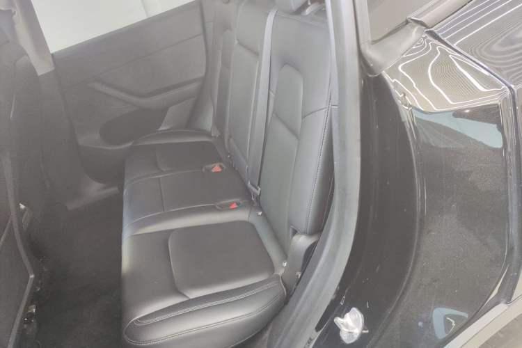 Used Tesla Model Y 2021 Standard Range Rear-Wheel Drive Version
