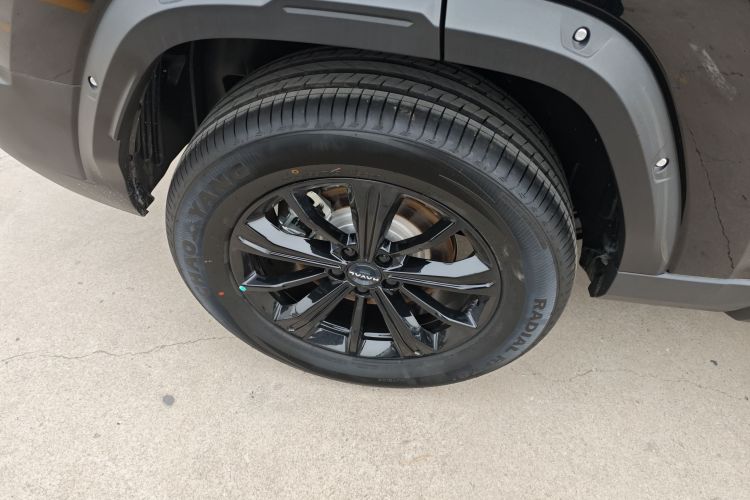 Used Haval Raptor New Energy 
