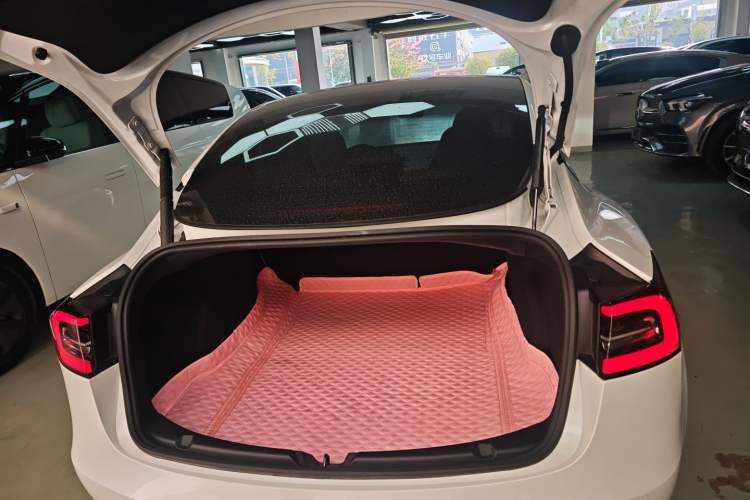 Used Tesla Model 3 2021 Standard Range Rear-Wheel Drive Upgraded Version 3D6
