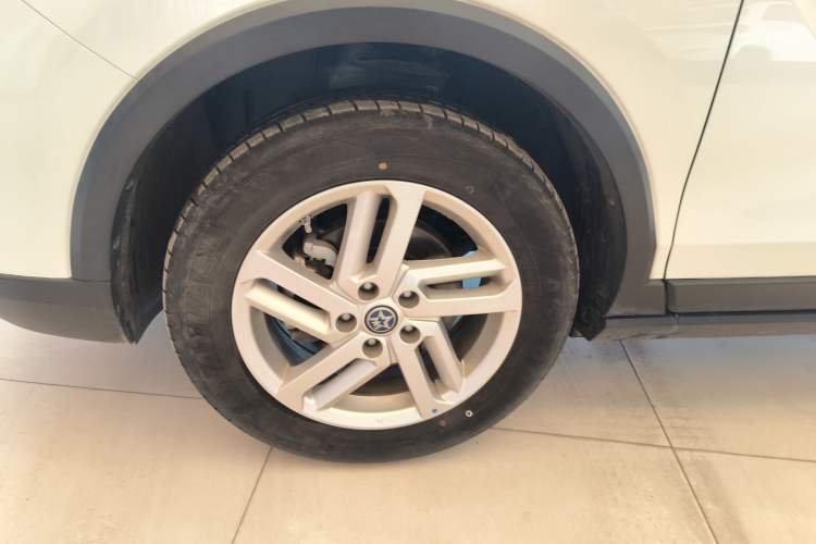 Used Venucia T60EV 2020 AI Enjoyment Model