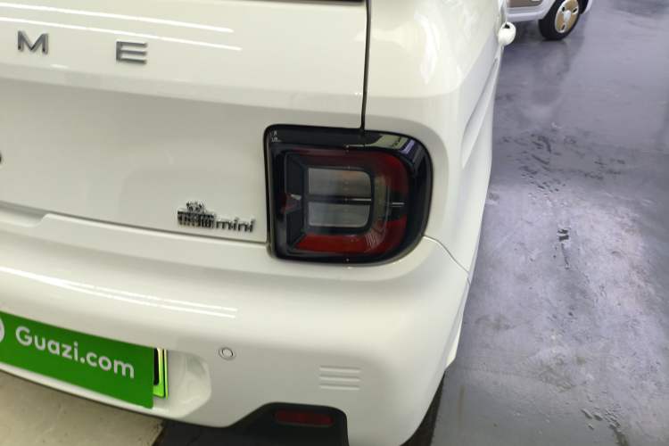 Used  Panda 2024 Panda Mini 200km Endurance Bear
