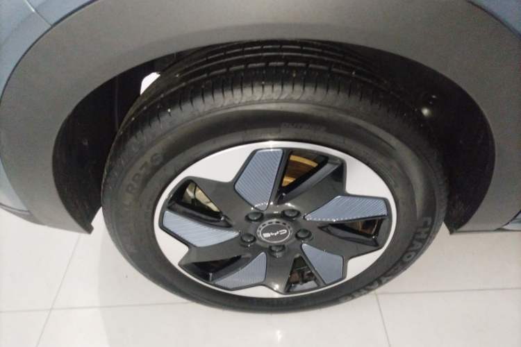 Used BYD Dolphin 2024 Honor Edition 420km Freedom Version
